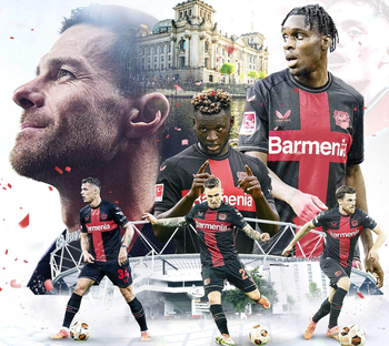 金刚app下载安装