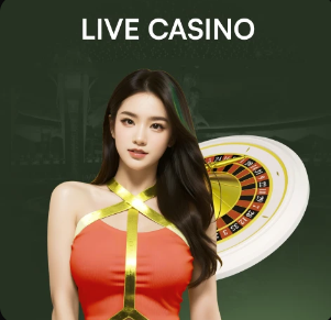 萨拉：入选巴西队是梦想成真，但我不会就此止步而是更有动力